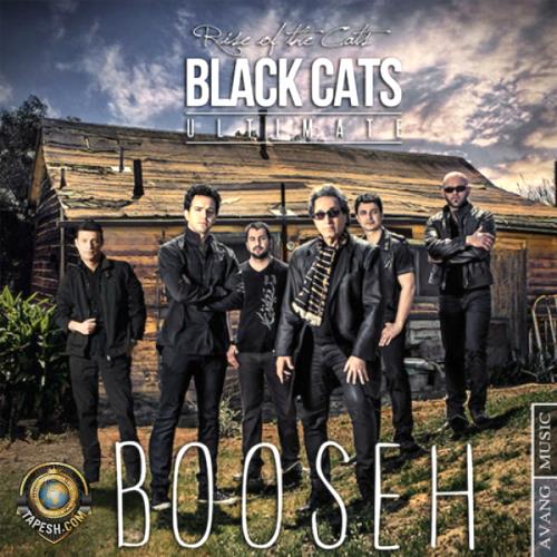 Black Cats - Booseh