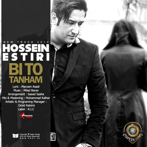 Hossein Estiri - Bi To Tanham