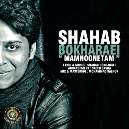 Shahab Bokharaei - Mamnoonetam